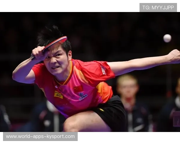 德国杯惊喜不断,樊振东让多特蒙德球迷心碎,樊振东德国公开赛2013 德国杯惊喜不断,樊振东让多特蒙德球迷心碎,樊振东德国公开赛2013