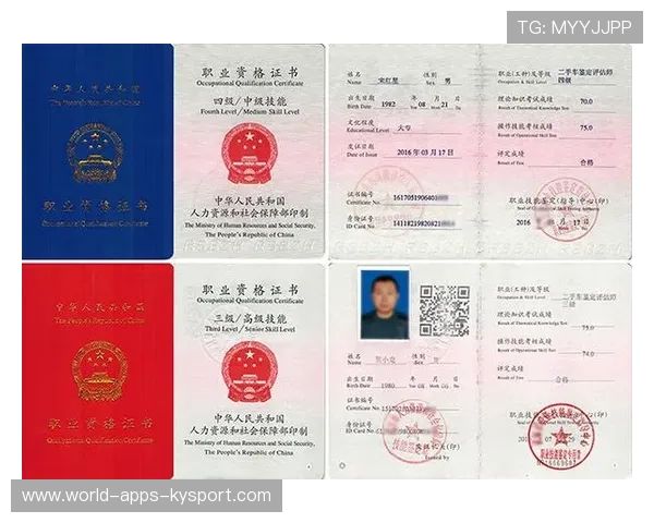 职业联赛的赞助权益评估